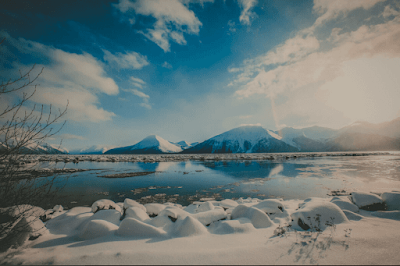 Moose standing in Alaskan wilderness with snowy mountains in background – Alaska travel 2025
