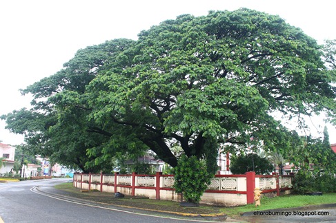 Subic Bay Freeport Zone