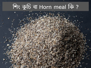 শিং কুচি বা Horn meal কি ?