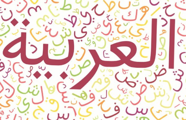 الإلمام باللغة العربية في العالم