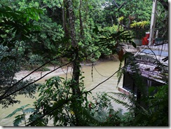Los Yutzos Riverview