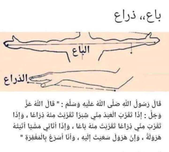 تعرف علي بعض الفروقات في اللغه العربيه  ثقف نفسك Educate yourself