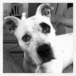 Gerdy