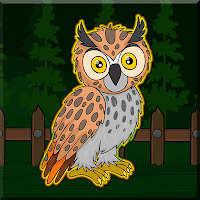 Play Games2Jolly Long Eared Owl Escape