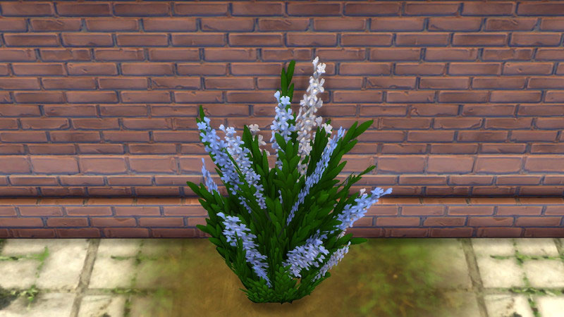 The Sims 4 Outdoor Plants
