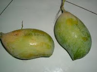 mangga malgova