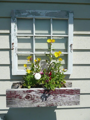 old buildings with old windows and old window frames.