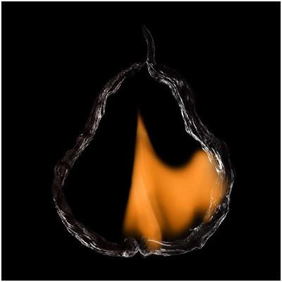 Shapes of Flames by Pol Tergejst Seen On www.coolpicturegallery.us