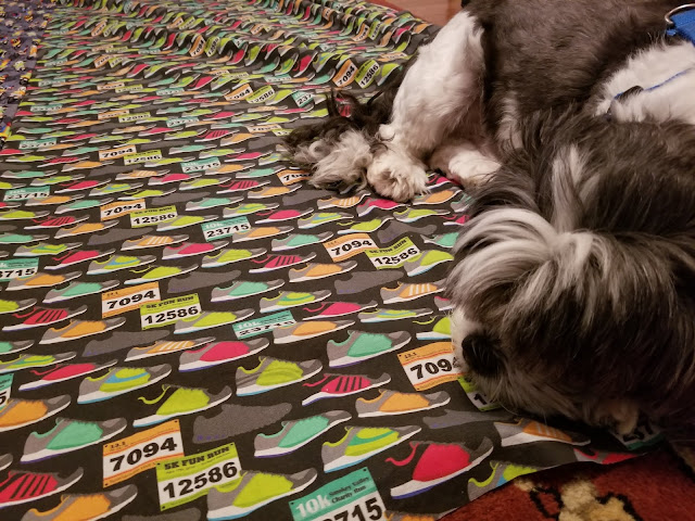 Dog sleeping on the running fabric. 