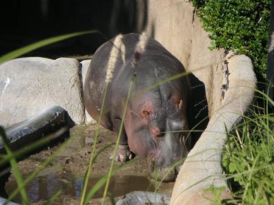 PICT0074.JPG