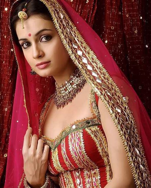 Diya Mirza image