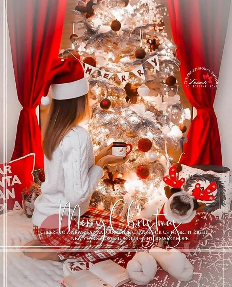 Happy Christmas WhatsApp DP