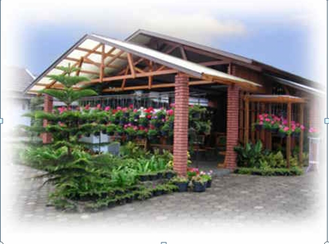 Agribisnis: Rumah Bunga Rizal (Peluang Bisnis Tanaman Hias)