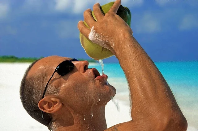 You Won't Believe the Incredible Benefits of Coconut Water!