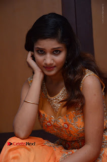 Telugu Actress Aarti Stills in Long Dress at Plus One ( 1) Audio Launch  0036.jpg