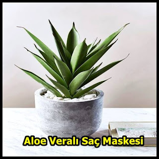 Aloe Veralı Saç Maskesi