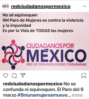 Niegan mujeres que feministas las representen