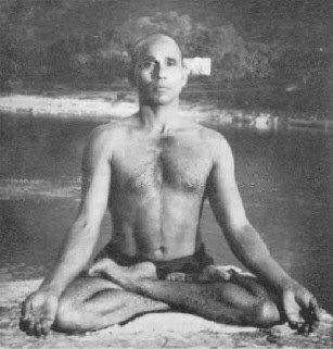 Padmasana yoga