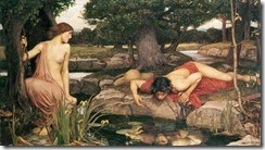 Narcissus