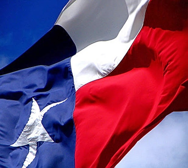 Texas Flag