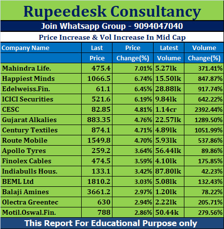 Price Increase & Vol Increase In Mid Cap