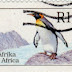 Selo da África do Sul, Aptenodytes patagonicus