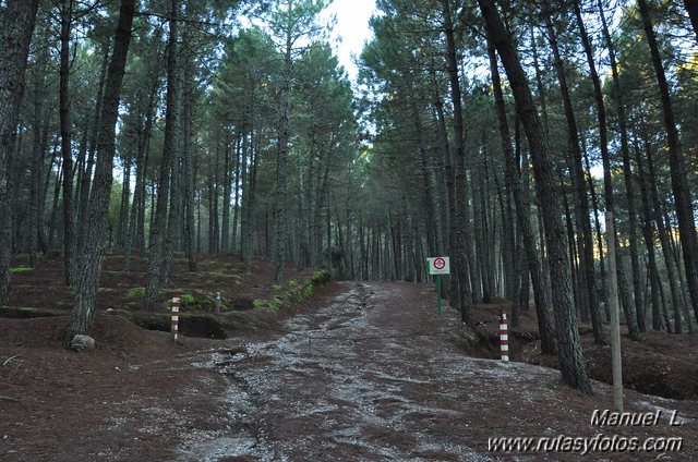 Subida a la Maroma desde el Robledal