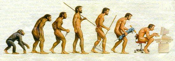 evolucion del hombre. evolucion del hombre.