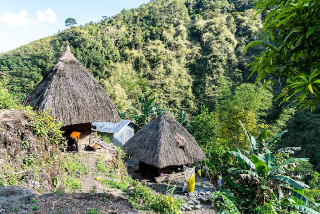 Pula-Région de l'Ifugao-Luçon-Philippines