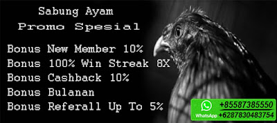 Bandar Judi Adu Ayam Live Digmaan S128 & Sv388 Terpercaya