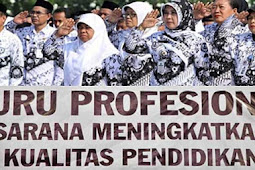 Persyaratan Guru Untuk menemui TPG Berdasarkan PP No 19 Tahun 2017 Yang Wajib Kita Tau