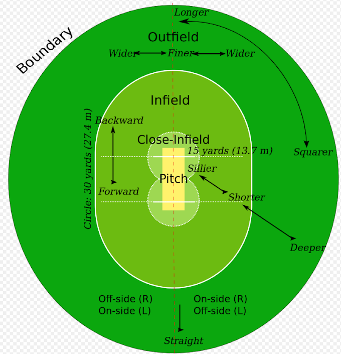 Cricket Field