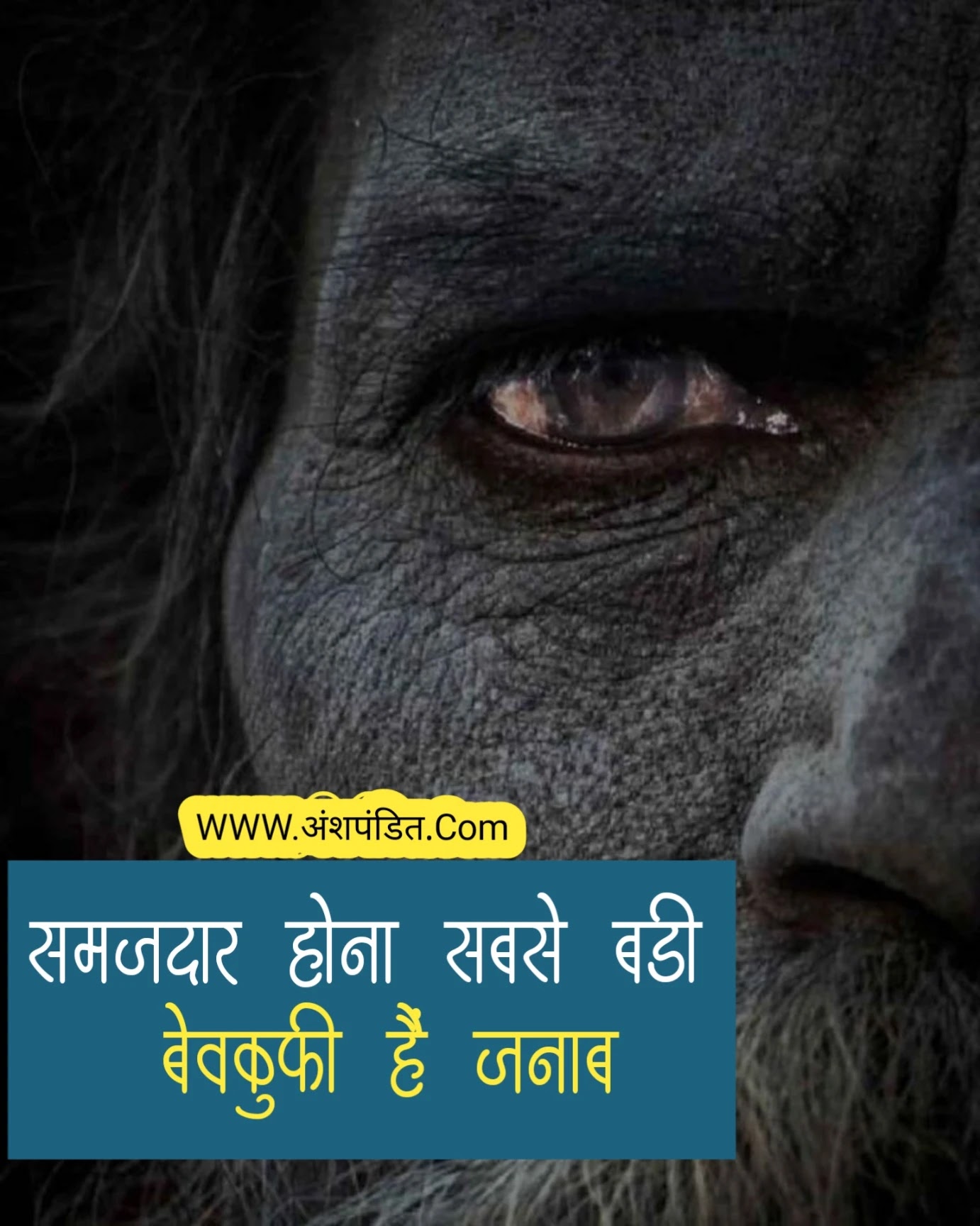 Motivational Quotes for Whatsapp Dp in Hindi