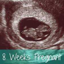 Hình ảnh siêu âm thai nhi 8 tuần tuổi