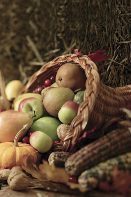 Thanksgiving iPhone 4S Wallpapers 10