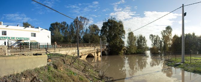 Puente de Cartuja