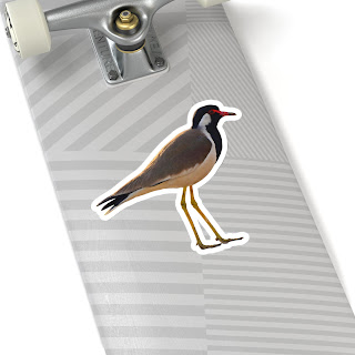 Stickers, Red-wattled lapwing, White,