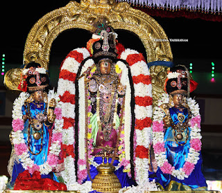 Purattasi,purappadu,Thiruvallikeni, Manavala Maamunigal, Swathi Nakshathram,Sri Narasimha Swamy, Theliya singar Perumal, Temple, 2017, Video, Divya Prabhandam,Utsavam,