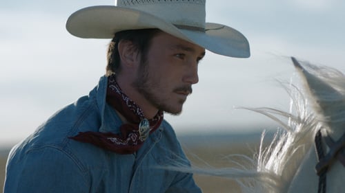 The Rider 2017 sur cpasbien