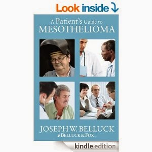 Mesothelioma A Patient's Guide to Mesothelioma [Kindle Edition]