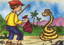 Imagen