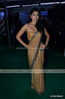 Shriya, saran, , sexy, cleavage, show, in, saree, sexy, photo