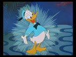 6-1 Donald