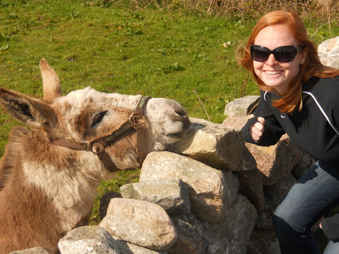 Donkey! (in Connemara)