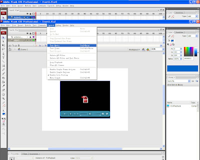 test flash video
