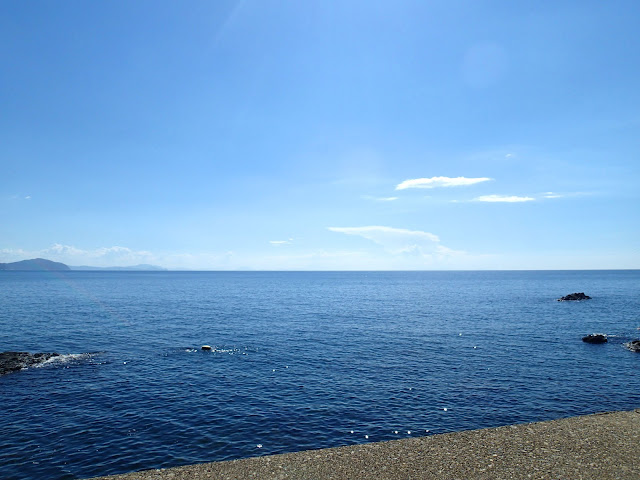 south-echizen-diving-park-sea