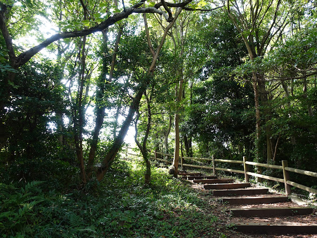 むきばんだ史跡公園の発掘体感広場に向かいます