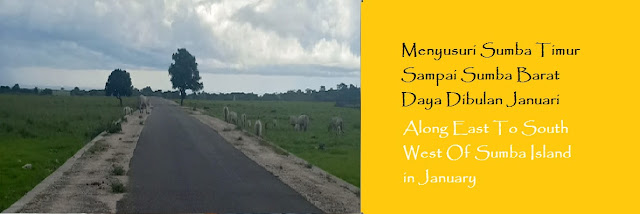 https://ketutrudi.blogspot.com/2019/01/menyusuri-sumba-timur-sampai-sumba.html