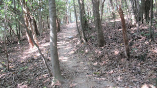 人文研究見聞録：吉備中山の登山レポート ［岡山県］