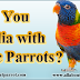 Are You Familia with Exotic Parrots?